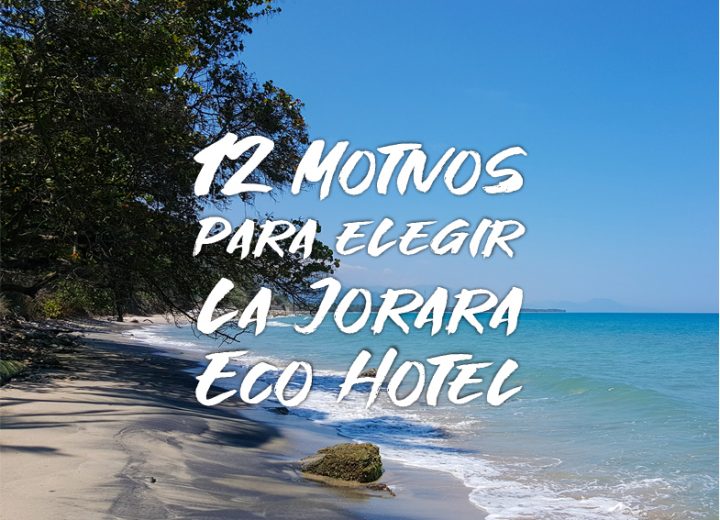 Motivos para elegir La Jorara eco hotel